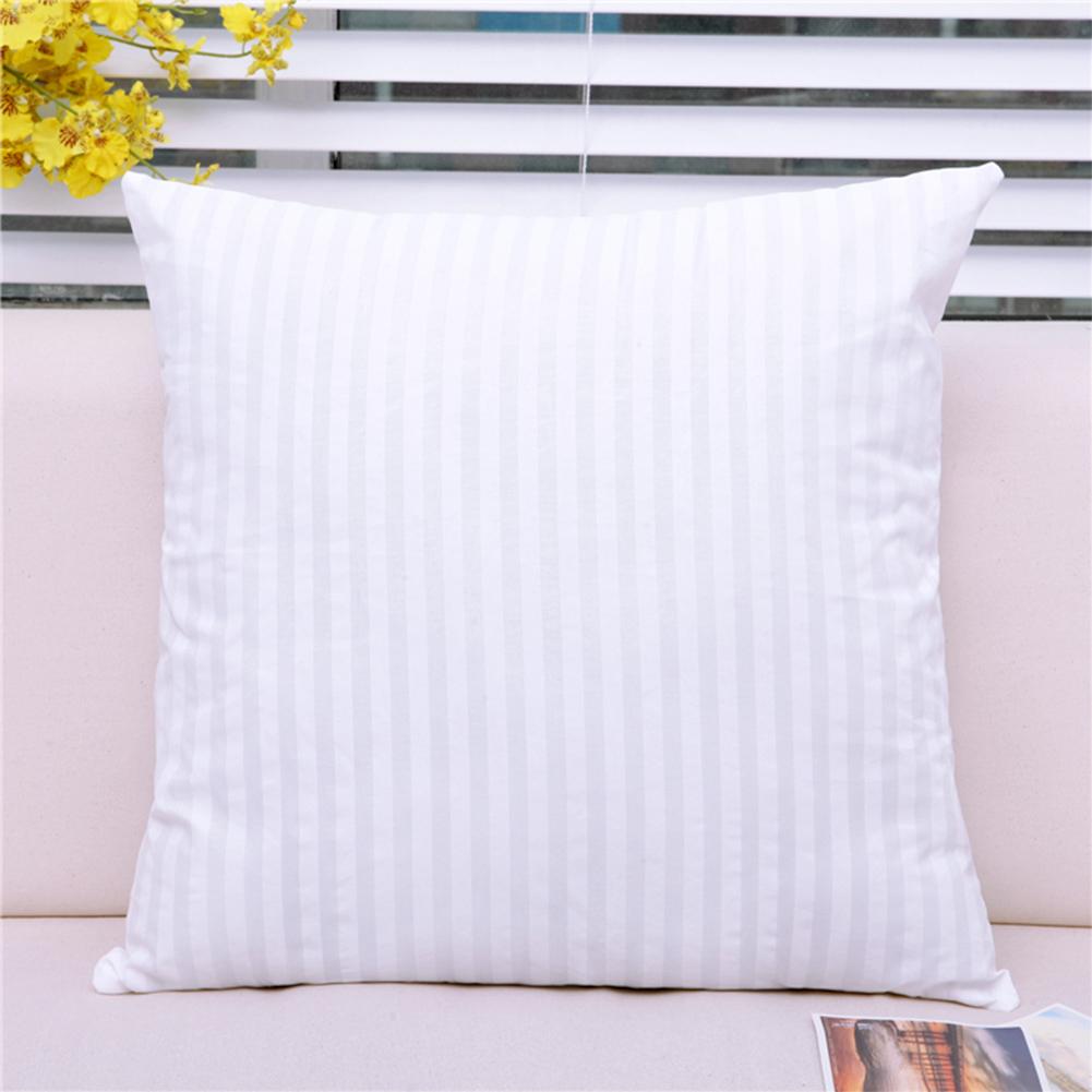 المنزل وسادة الداخلية ملء القط - مراجعة Pillow Insert 18X18 وسعره