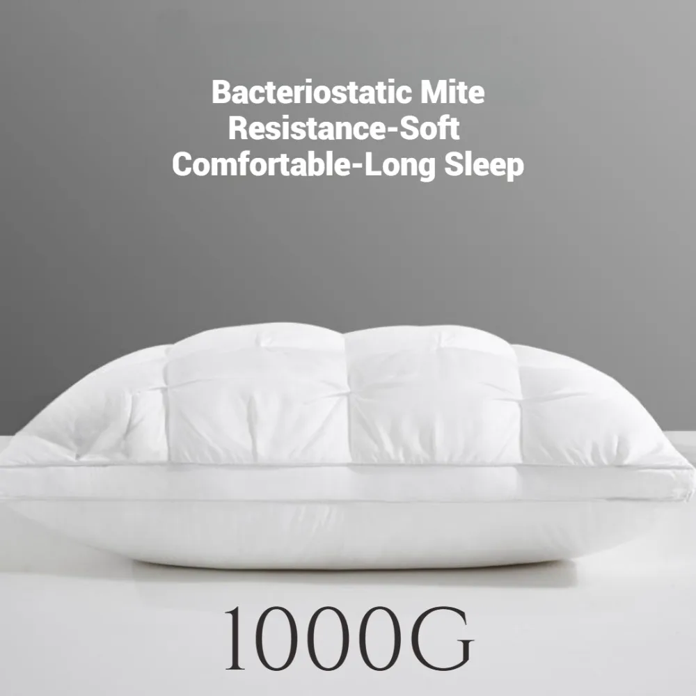 وسادة بلون صلب وغسلها ثنائية ن - مراجعة Pillow Insert 18X18 وسعره